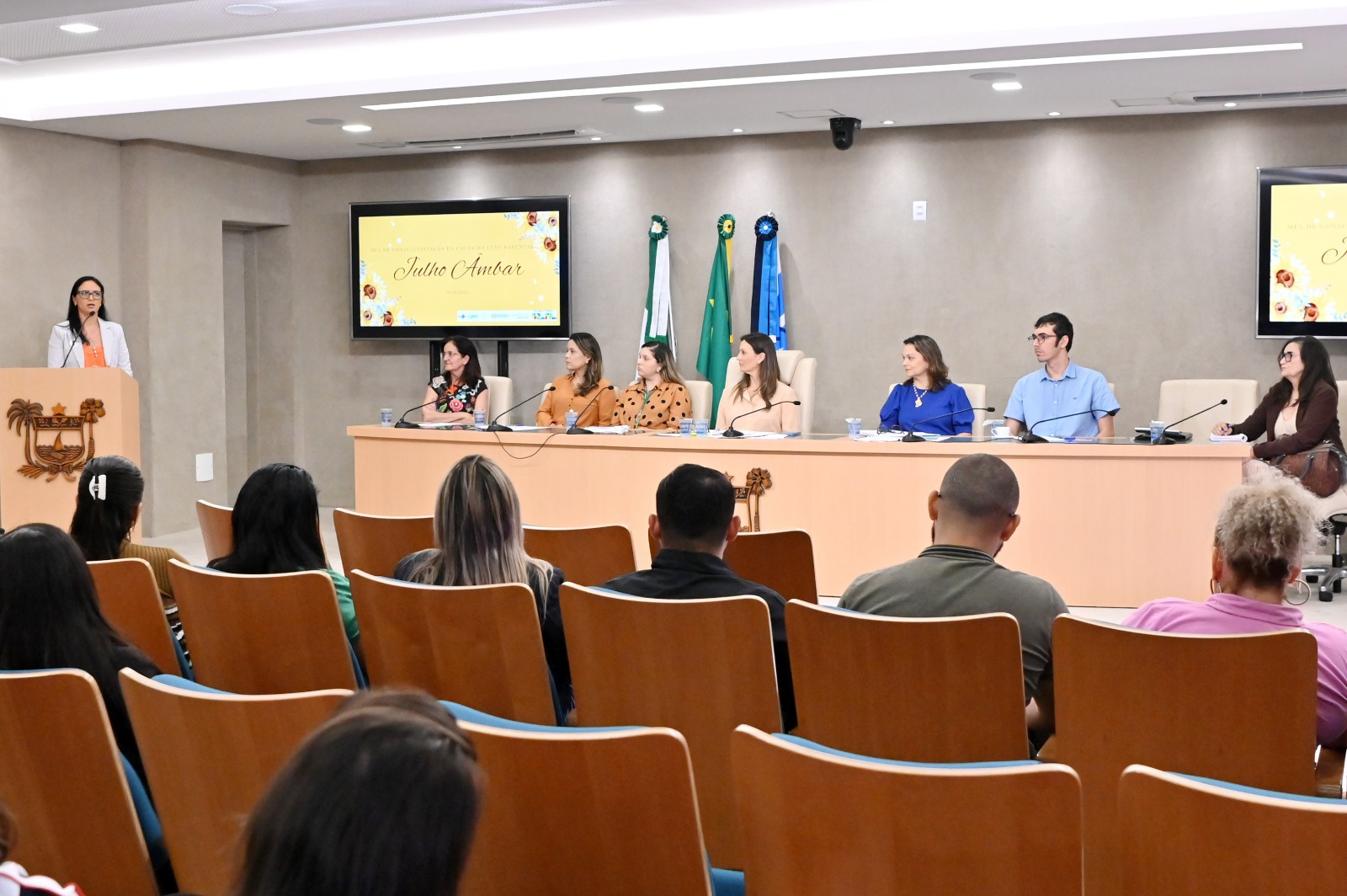 Humanização do luto parental é tema de debate na Assembleia Legislativa